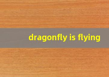 dragonfly is flying